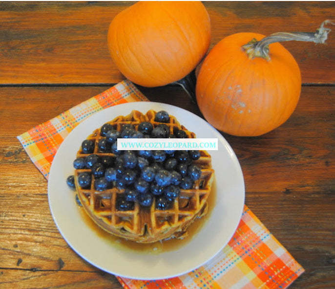 Blueberry Pumpkin Waffle Premium Scented Aroma Beads
