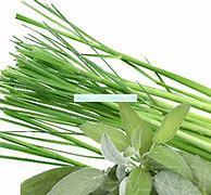 Lemongrass Sage Premium Scented Cured Aroma Beads